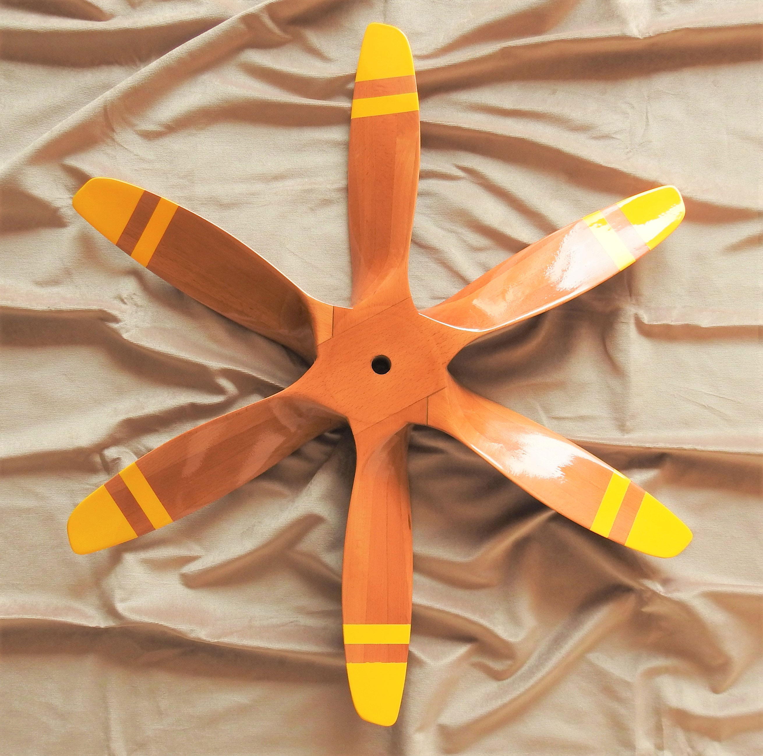 hang glider propeller